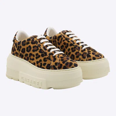 Casadei Sneaker Malesia In Brown