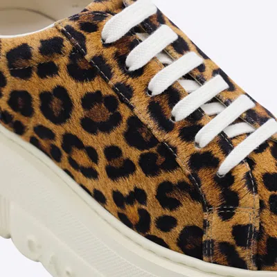Casadei Sneaker Malesia In Brown