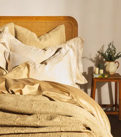 Celso De Lemos Egyptian Cotton Braga Square Pillowcase