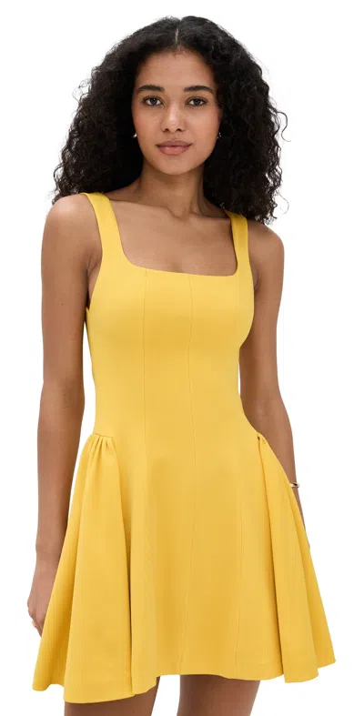 Alice And Olivia Vera Fit And Flare Mini Dress Golden Hour