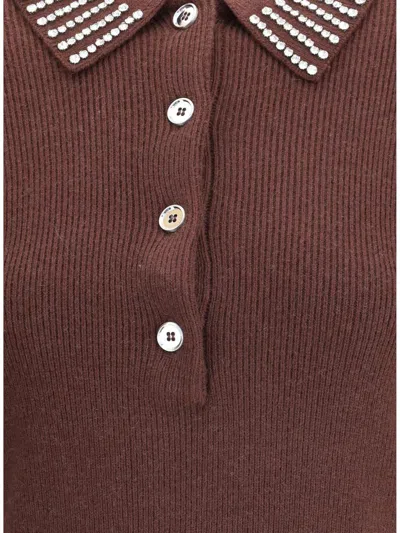 Pinko Emilia Sweater With Strass In Brown