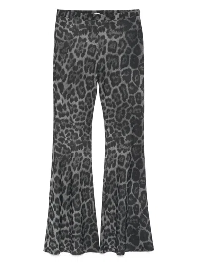 Stella Mccartney Leopard Print Flared Jeans