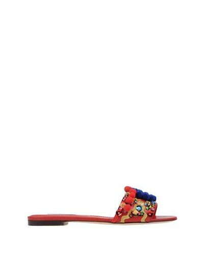 Shop Dolce & Gabbana Sandals In Red