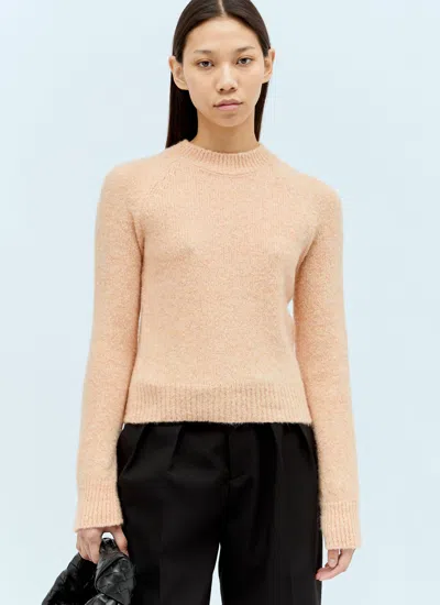 Dries Van Noten Texas Wool Blend Sweater In Peach