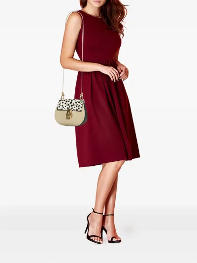 Pre-owned Chloé Drew Shoulder Bag In Neutral