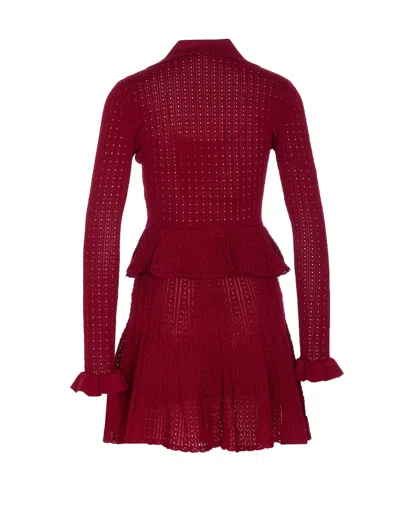 Self-portrait Self Portrait Women Burgundy Pointelle Knit Long-sleeved Mini Dress