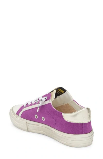 Vintage Havana Alive Camo Sneaker In Multi