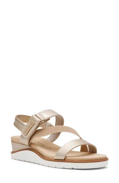 Anne Klein Lucinda Wedge Sneaker In Multi