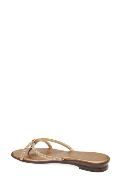 Italian Shoemakers Maribelle Crystal Embellished Sandal In Brown