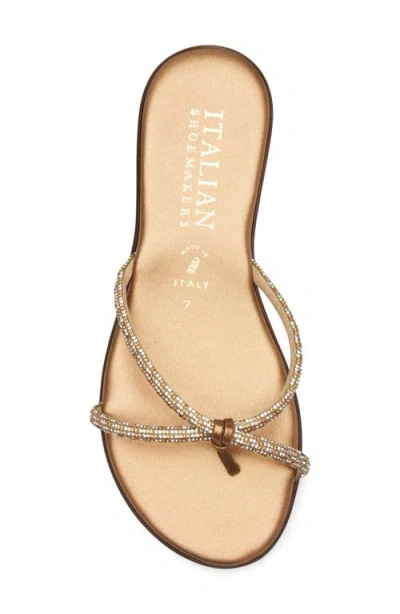 Italian Shoemakers Maribelle Crystal Embellished Sandal In Brown