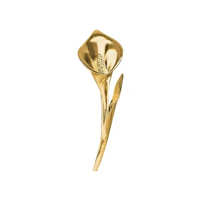 Alegoria Jewellery Women's Calla Gold Plated Bronze Brooch