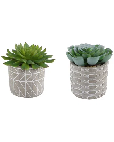 Flora Bunda Set Of 2 Succulents In Pattern Cement Pots In Gray