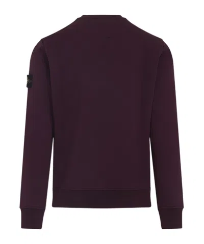 Stone Island Crew Neck Wool Sweater With Ribbed Texture In Burgundy