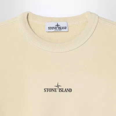 Stone Island Ivory Cotton Crewneck Sweatshirt With Logo In Neutral