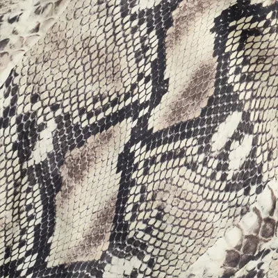 Roberto Cavalli Silk Top With Python Print In Gray