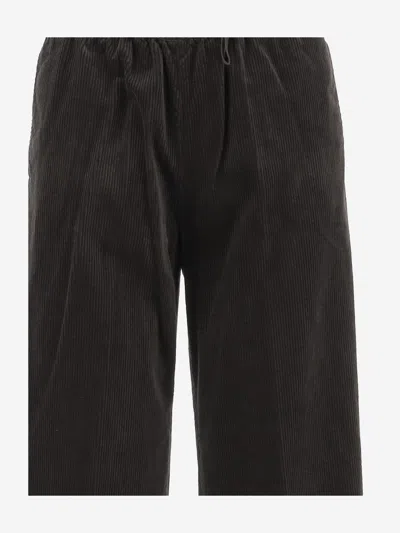 Aspesi Cotton Velvet Pants In Black