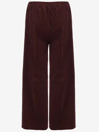 Aspesi Elasticated-waist Trousers In Red