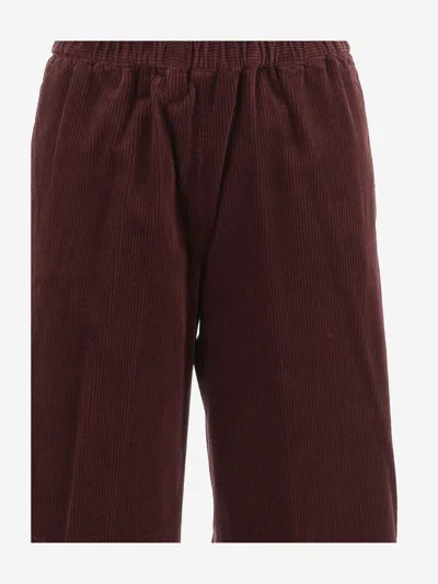 Aspesi Elasticated-waist Trousers In Red
