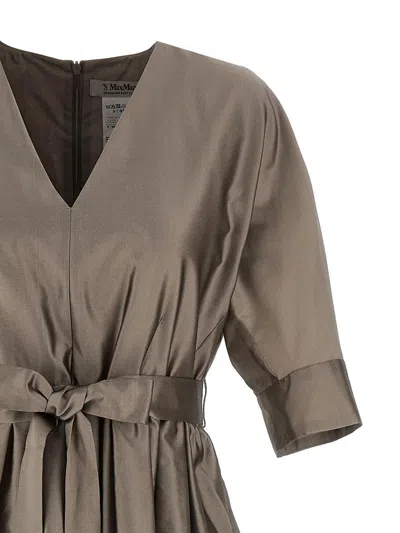 S Max Mara ' 'viola' Dress