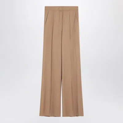 Max Mara High-waist Trousers In Virgin Wool In Brown