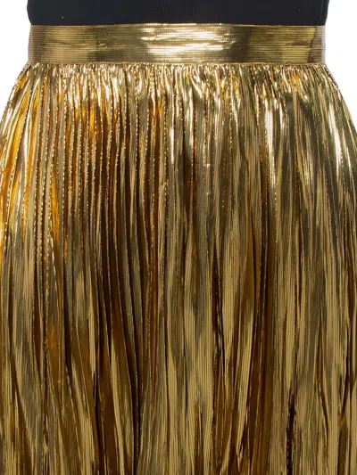 Pre-owned Mes Demoiselles Pleated Midi Skirt