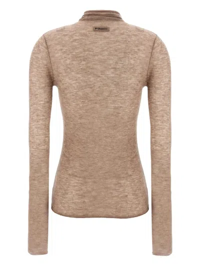 Pinko 'moss' Sweater In Brown