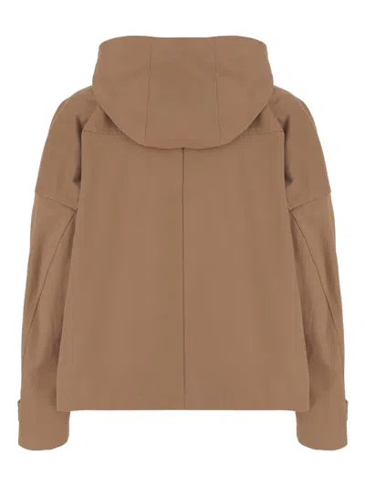 Armarium High Collar Adjustable Hood Cotton Jacket In Brown