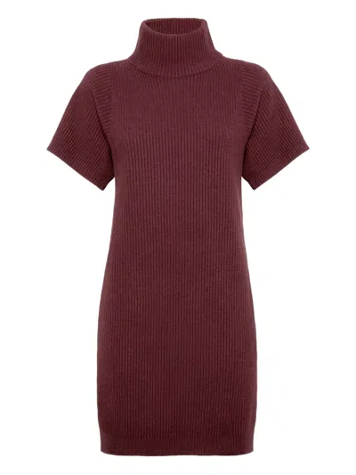 Brunello Cucinelli Ribbed Turtleneck Mini Dress In Burgundy