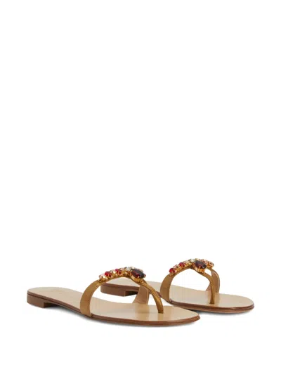 Giuseppe Zanotti Katisha Embellished Thong Sandals In Brown