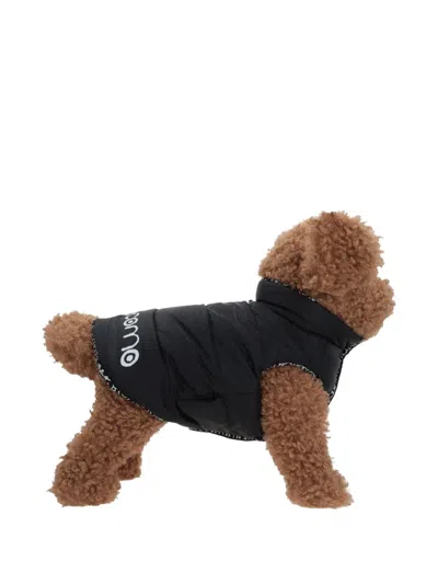 10 Corso Como X Poldo Dog Couture Reversible Padded Dog Gilet In Black