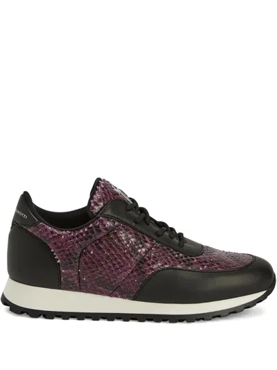 Giuseppe Zanotti Jimi Snakeskin Leather Sneakers In Black