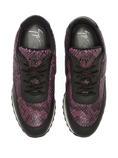 Giuseppe Zanotti Jimi Snakeskin Leather Sneakers In Black