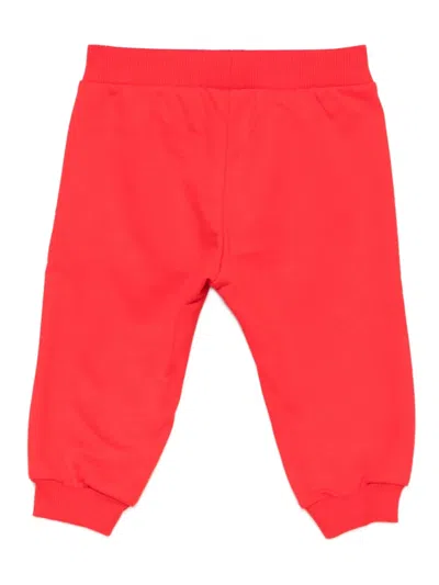 Moschino Teddy Bear-print Jersey Track Pants In Red
