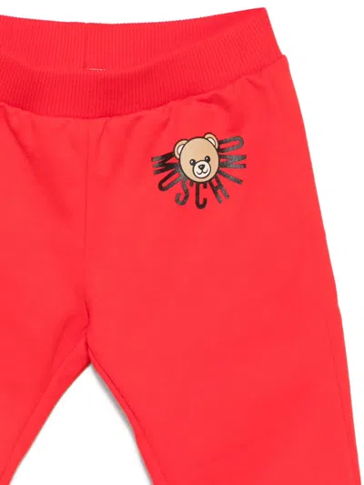 Moschino Teddy Bear-print Jersey Track Pants In Red