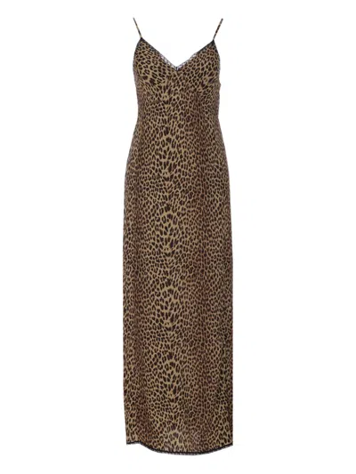 Zadig & Voltaire Lace-trimmed Leopard-print Midi Dress In Brown