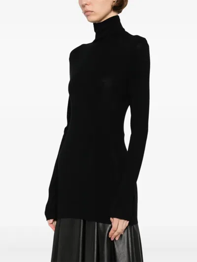 Aexae Sheer Turtleneck Top In Black