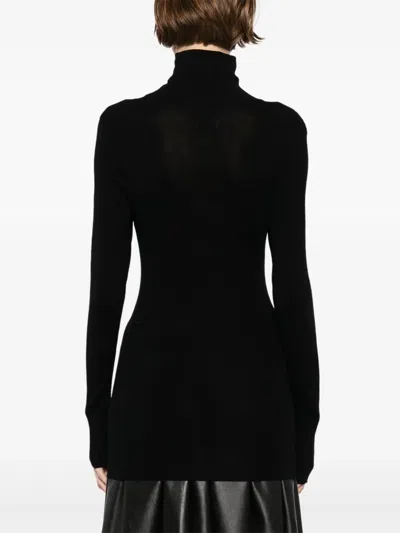 Aexae Sheer Turtleneck Top In Black