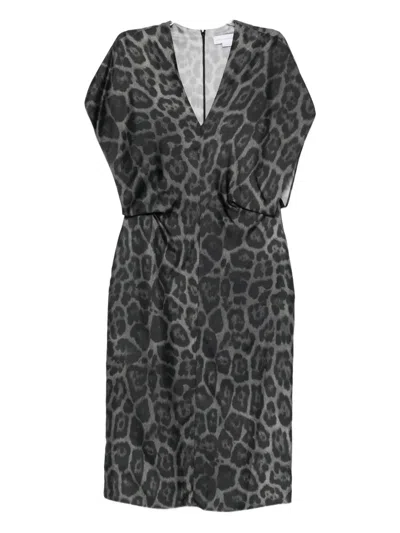 Stella Mccartney Leopard-print V-neck Midi Dress In Gray