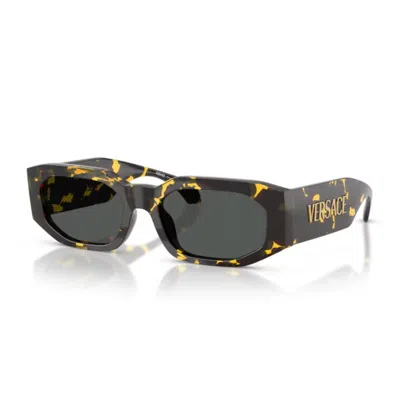 Versace 0ve4489u Signature 552887 Tartarugato Marrone Sunglasses In Brown
