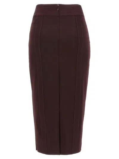 Elisabetta Franchi Corsetry-inspired Midi Skirt With Zigzag Stitching In Brown