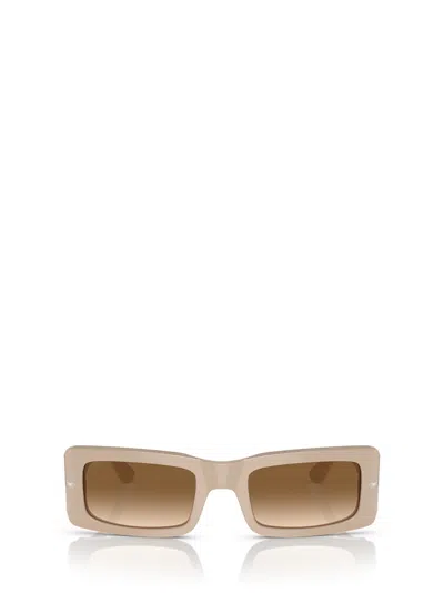 Persol Francis Rectangle-frame Sunglasses