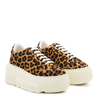 Casadei Sneaker Malesia In Brown