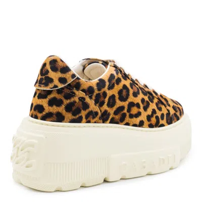 Casadei Sneaker Malesia In Brown