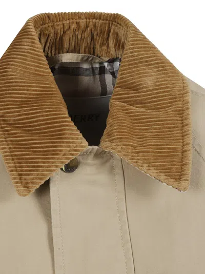 Burberry Cropped Beige Coat With Corduroy Collar In Gray