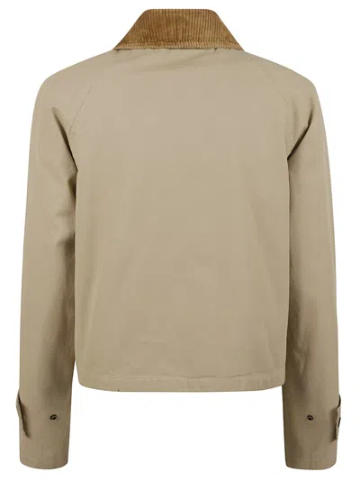 Burberry Cropped Beige Coat With Corduroy Collar In Gray