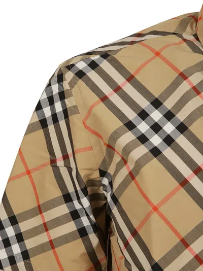 Burberry Short-sleeved Check Pattern Shirt With Button-down Collar In Brown