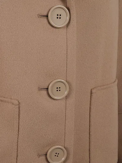 Max Mara Classic Brown Coat With Notched Collar In Pink