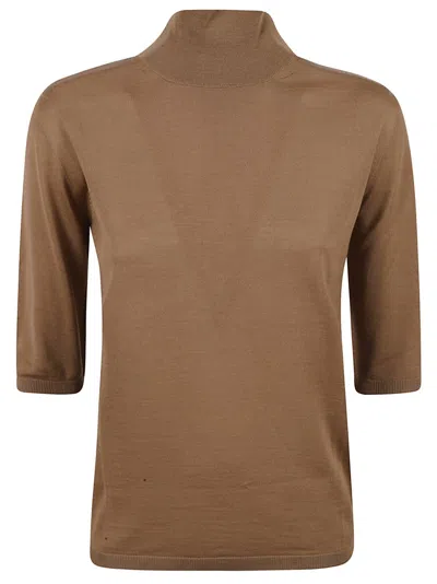 Max Mara Fitted Brown Sweater With High Neck In Brown