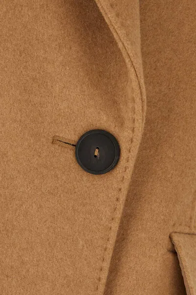 Max Mara Coats In Brown