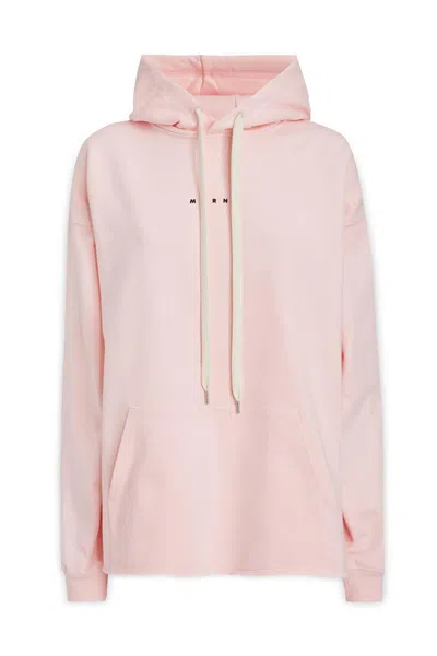 Marni Sweatshirts In Pink
